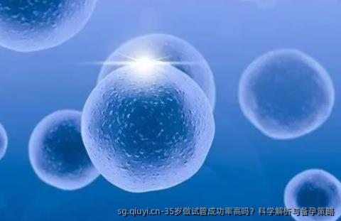 35岁做试管成功率高吗？科学解析与备孕策略