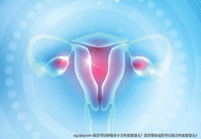 武汉可以移植多少三代试管婴儿？武汉哪些医院可以做三代试管婴儿？