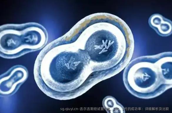吉尔吉斯坦试管1代、2代、3代的成功率：详细解析及比较