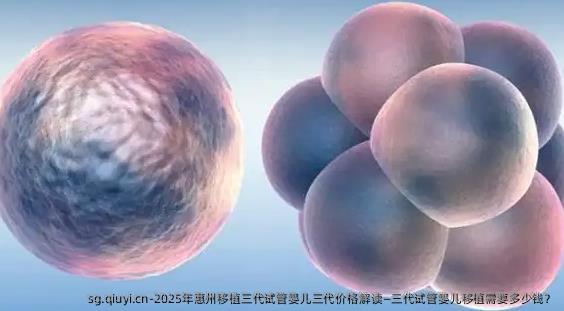 2025年惠州移植三代试管婴儿三代价格解读—三代试管婴儿移植需要多少钱？