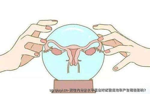 男性内分泌水平低会对试管成功率产生哪些影响？