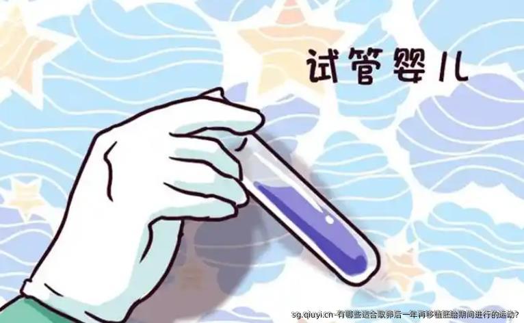 有哪些适合卵泡取出后一年再移植胚胎期间进行的运动?