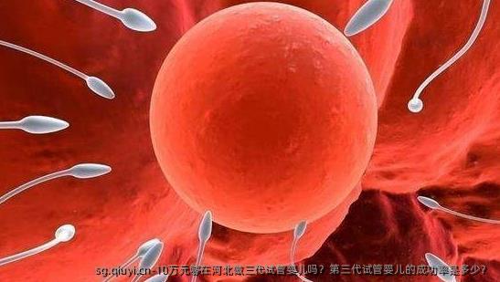 10万元够在河北做三代试管婴儿吗？第三代试管婴儿的成功率是多少？