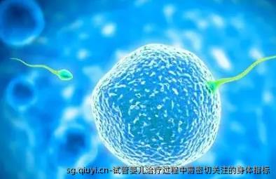 试管婴儿治疗过程中需密切关注的身体指标