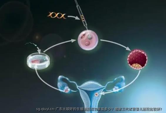 广东比较好的生殖医院成功率是多少？哪家三代试管婴儿医院比较好？