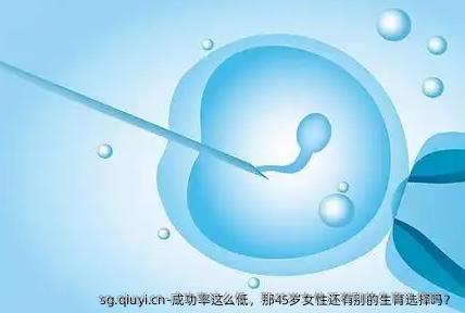 成功率这么低，那45岁女性还有别的生育选择吗？