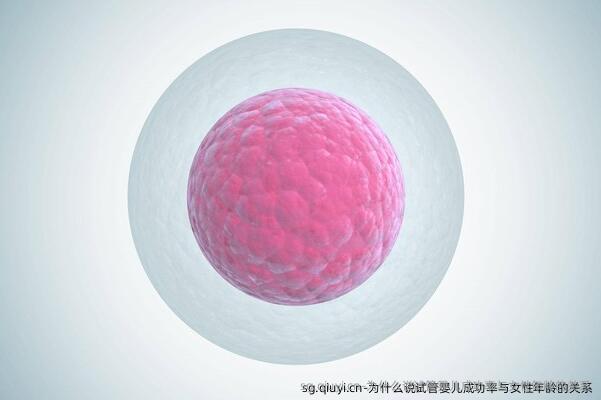 为什么说试管婴儿成功率与女性年龄的关系