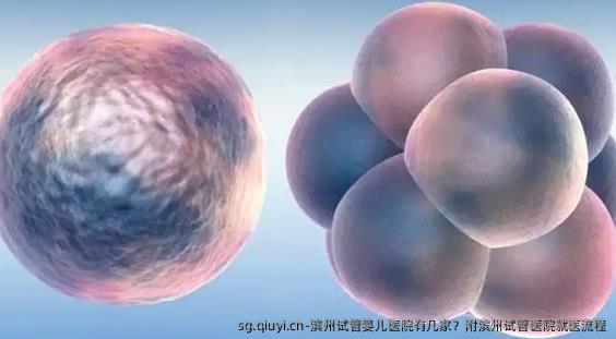 滨州试管婴儿医院有几家？附滨州试管医院就医流程