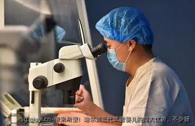 带来希望！哈尔滨三代试管婴儿的四大优势，不少呀
