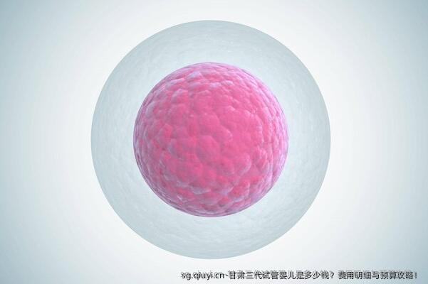 甘肃三代试管婴儿是多少钱？费用明细与预算攻略！