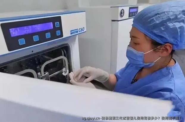 到泰国第三代试管婴儿费用需要多少？费用高不高？