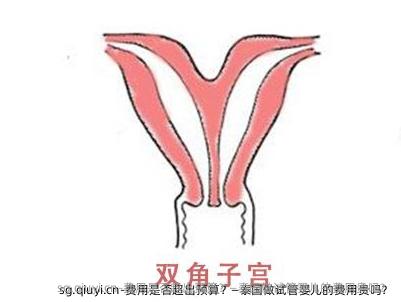 费用是否超出预算？—泰国做试管婴儿的费用贵吗？