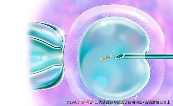 杭州三代试管咨询到成功费用明细+省钱妙招全奉上