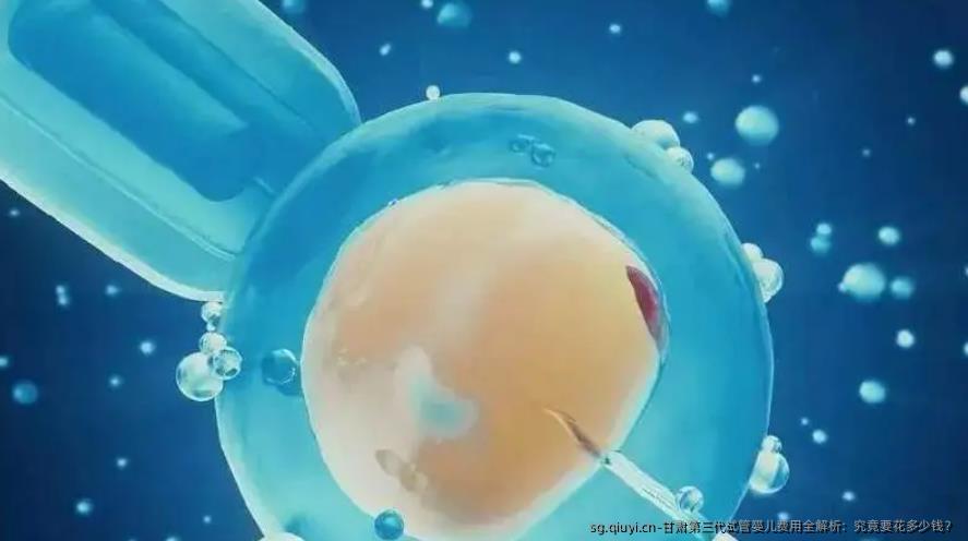 甘肃第三代试管婴儿费用全解析：究竟要花多少钱？