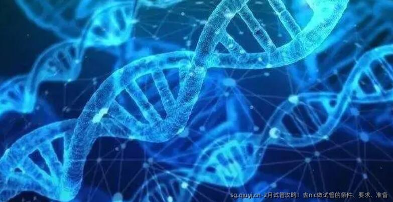 2月试管攻略！去nic做试管的条件、要求、准备