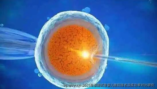 2025年泰国试管婴儿医院排名及成功率对比研究