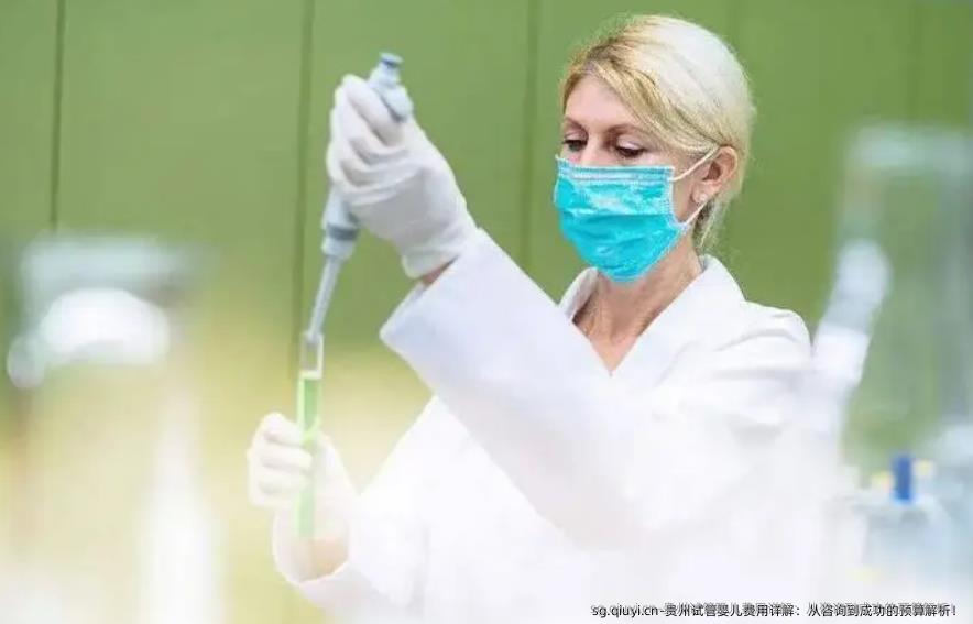 贵州试管婴儿费用详解：从咨询到成功的预算解析！