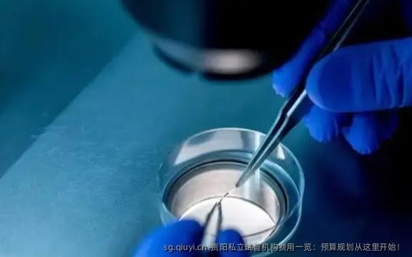 贵阳私立试管机构费用一览：预算规划从这里开始！
