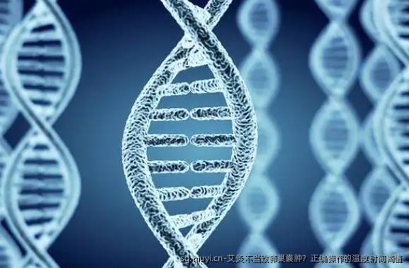 ‌艾灸不当致卵巢囊肿？正确操作的温度时间阈值‌