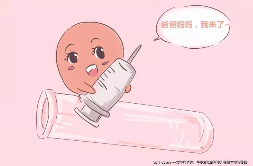 一文带您了解：宁夏三代试管婴儿费用与流程详情！