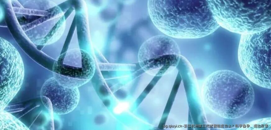 浙江杭州做三代试管能成功么？科学备孕，成功在望