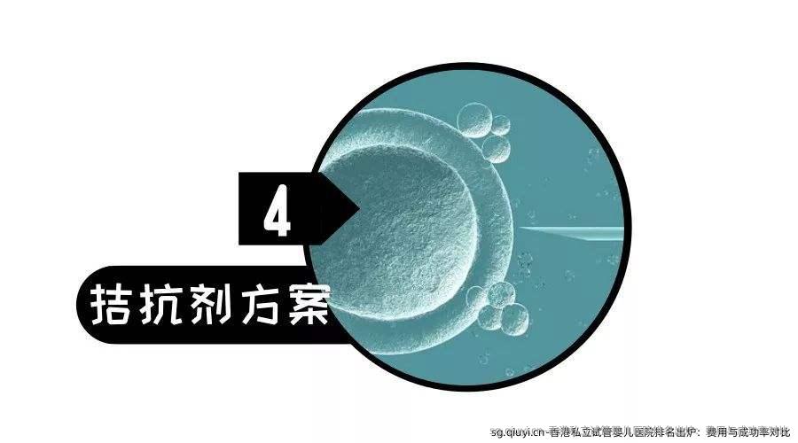 香港私立试管婴儿医院排名出炉：费用与成功率对比