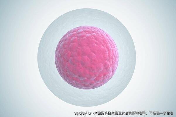详细解析日本第三代试管医院费用：了解每一步花费