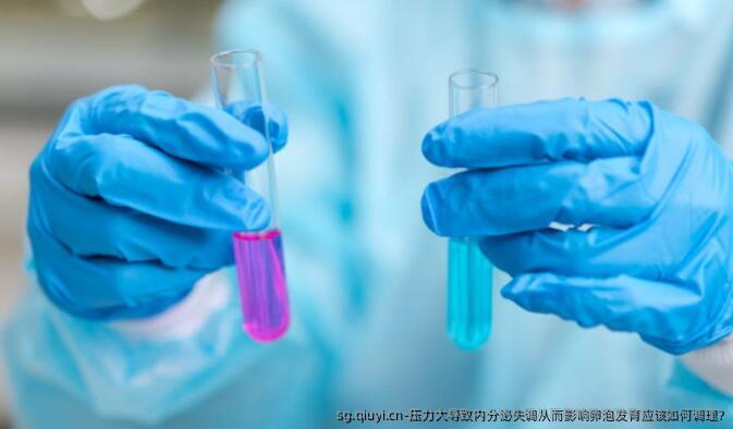 压力大导致内分泌失调从而影响卵泡发育应该如何调理?