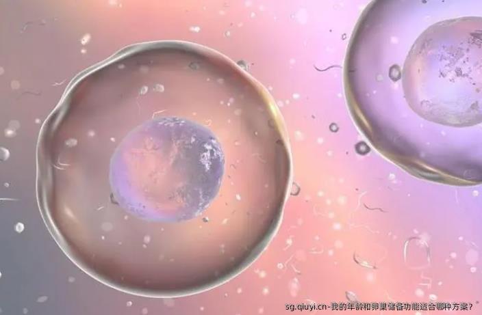 我的年龄和卵巢储备功能适合哪种方案？