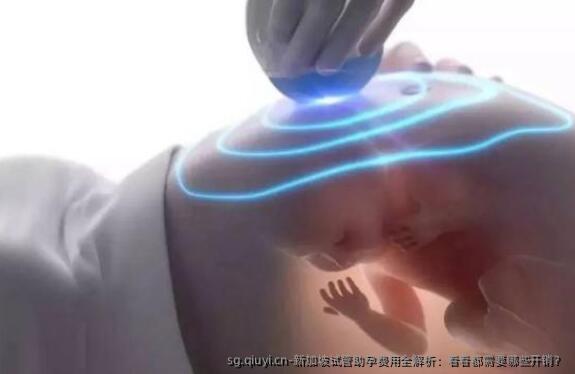 新加坡试管助孕费用全解析：看看都需要哪些开销？