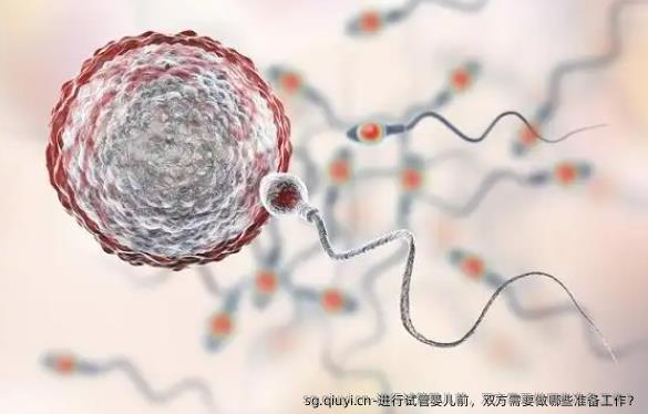 进行试管婴儿前，双方需要做哪些准备工作？