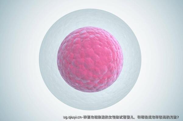 卵巢功能衰退的女性做试管婴儿，有哪些成功率较高的方案？