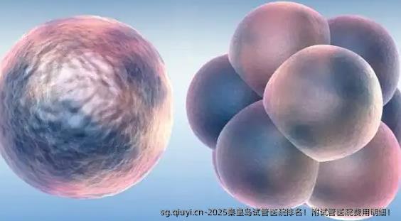 2025秦皇岛试管医院排名！附试管医院费用明细！