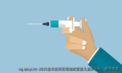 2025吉尔吉斯斯坦做试管婴儿要多少钱，费用预算
