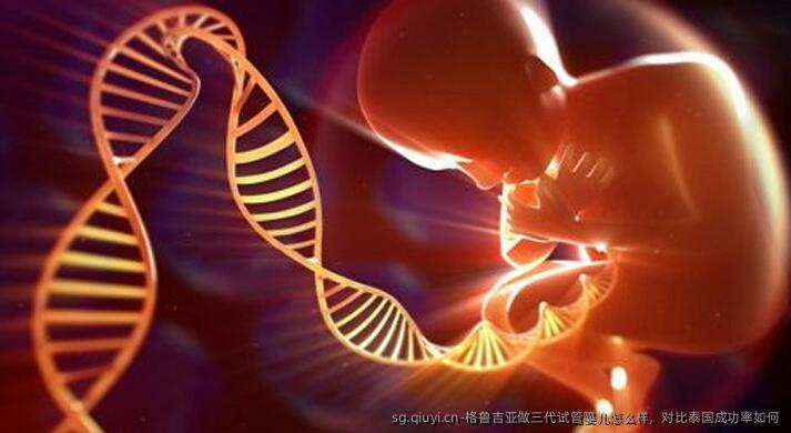 格鲁吉亚做三代试管婴儿怎么样，对比泰国成功率如何