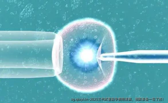 2025三代试管助孕费用详解，预算准备一目了然！