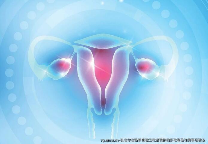 赴吉尔吉斯斯坦做三代试管的前期准备及注意事项建议