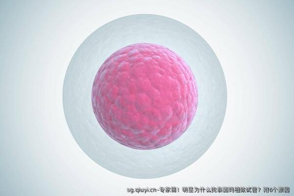 专家篇！明星为什么找泰国玛祖做试管？附6个原因