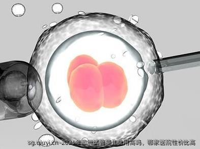 2025年欧洲试管婴儿费用高吗，哪家医院性价比高