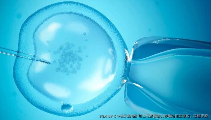 吉尔吉斯斯坦三代试管婴儿移植后注意事项，攻略收藏