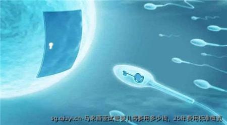 马来西亚试管婴儿需要用多少钱，25年费用标准概览
