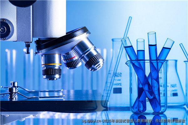 2025年泰国试管婴儿费用解析：各项费用详细解读