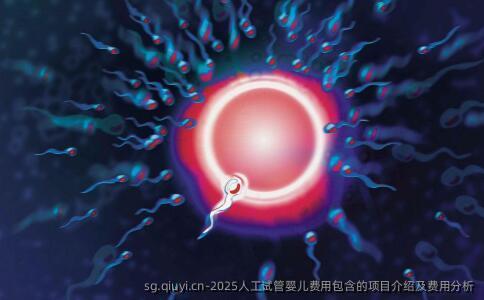 2025人工试管婴儿费用包含的项目介绍及费用分析