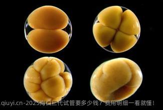 2025海口三代试管要多少钱？费用明细一看就懂！
