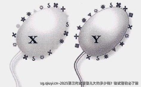 2025第三代试管婴儿大约多少钱？做试管前必了解