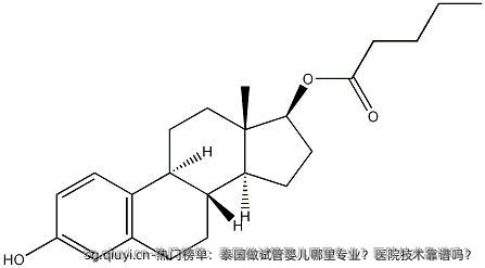 热门榜单：泰国做试管婴儿哪里专业？医院技术靠谱吗？