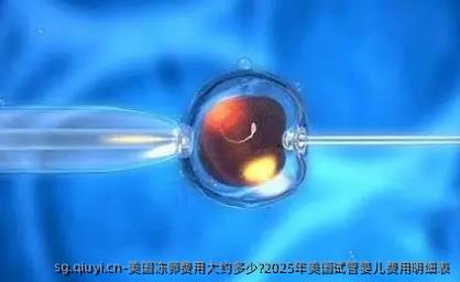 美国雪藏卵费用大约多少?2025年美国试管婴儿费用明细表
