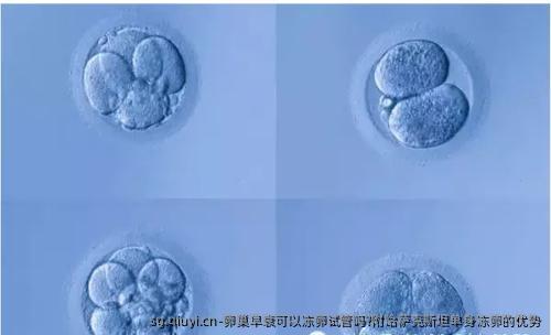卵巢早衰可以雪藏卵试管吗?附哈萨克斯坦单身雪藏卵的优势