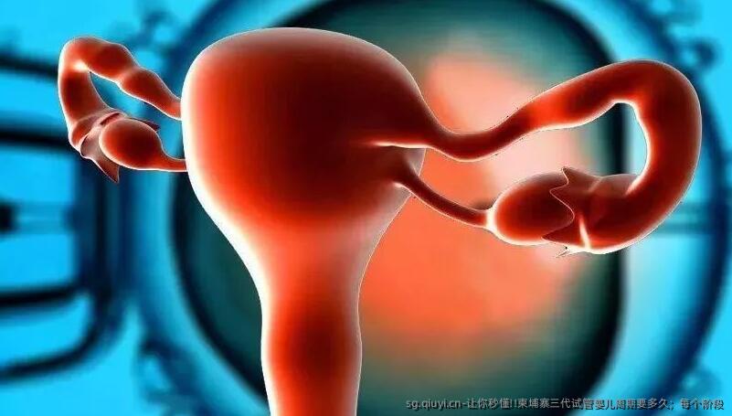 让你秒懂!!柬埔寨三代试管婴儿周期要多久；每个阶段
