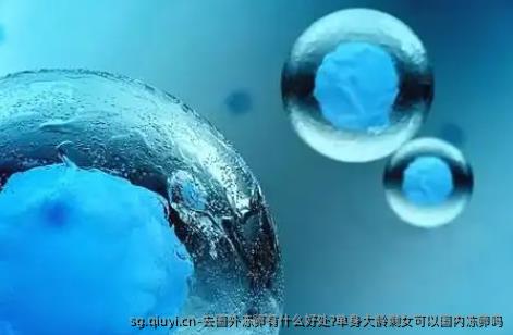 去国外雪藏卵有什么好处?单身大龄剩女可以国内雪藏卵吗